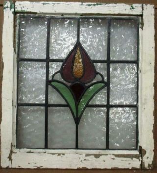 Old English Leaded Stained Glass Window Pretty Tulip Design 20 " X 22 "