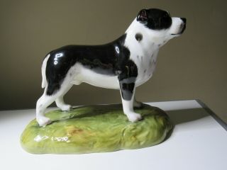 Royale Stratford Staffordshire Bull Terrier 8 " Porcelain Figurine United Kingdom