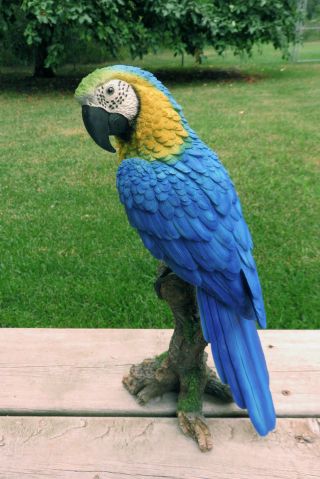 Blue Macaw Parrot Tropical Pet Bird Figurine Decoration Ornament Mexico 15 In.
