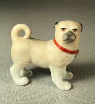 Antique Bisque Porcelain Pug Dog Figurine,  Miniature,  Wearing Red Collar W/ Tag