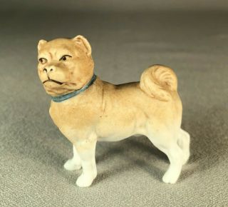Antique Bisque Porcelain Pug Dog Figurine,  Miniature,  Wearing Blue Collar