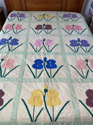 Omg Vintage Handmade Applique Iris Flowers Hand Quilted Quilt 72 " X 88 " Full Sz