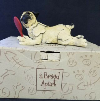 Country Artists A Breed Apart Pug With Mirror 70061 - Absolutely Adorable Nib
