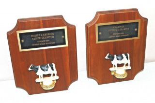 Vintage Wood Plaque Trophy Award Cow Figure Prize Parts Cute Repurpose Props As