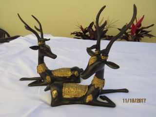Pr Vintage Gilt Bronze Thai Sika Deer Statues Thailand Early To Mid - Century