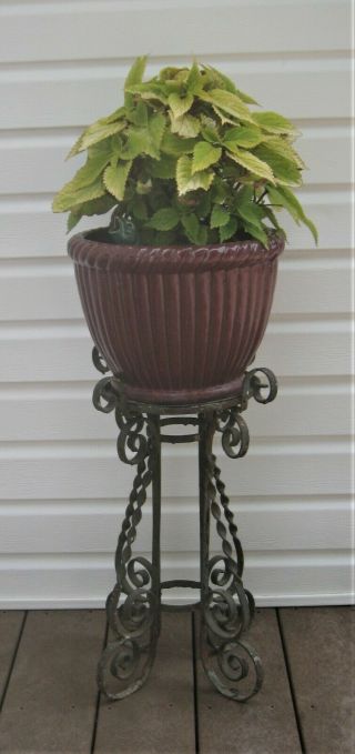 Vintage Victorian Wrought Iron Plant Stand (plant And Pot Not)