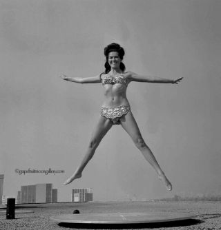 Bunny Yeager Pin - Up Camera Negative Photograph Playboy Playmate Myrna Weber 50s