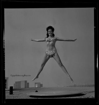 Bunny Yeager Pin - up Camera Negative Photograph Playboy Playmate Myrna Weber 50s 2
