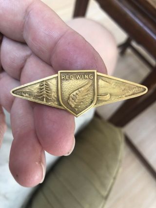 Boy Scout Bsa Camp Red Wing Indiana 1931 Swimming Pin Badge
