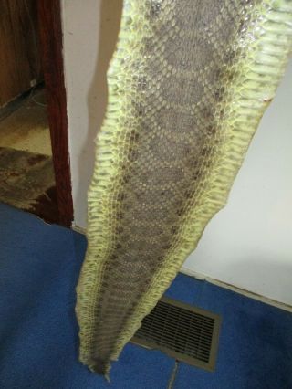 Rattlesnake Skin Prairie Rattle Snake Hide Soft Tanned Wrap Pen Blanks 50 In.  K7
