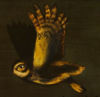 Little Owl : Oil Painting : Falconry Falcon Bird Art By David Andrews