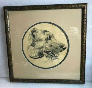 Antique Framed Irish Wolfhound Pen & Ink Jane M Killinger Dec 1935 Signed