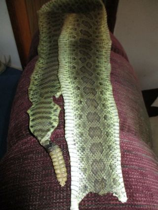 Rattlesnake Skin Prairie Rattle Snake Hide Soft Tanned Wrap Pen Blanks 47 In L11