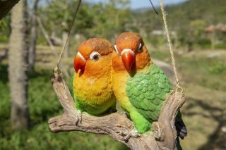 Hanging Parrots (lovebirds) On Branch - Life Like Figurine Statue Home Garden