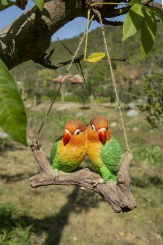Hanging Parrots (lovebirds) on Branch - Life Like Figurine Statue Home Garden 2