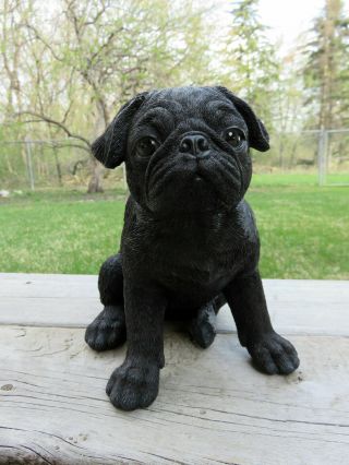Black Pug Puppy Dog Figurine Statue Resin Ornament 7.  5 In.