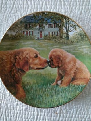 Collectors Plate " Golden Moment " By Patricia Bourque
