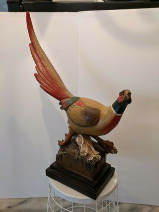 Vintage Large Pheasant Bird With Huge Long Tail