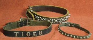 3 Vintage Leather Nickel Brass Steel Spike Dog Collars Tiger Studded 25 " 18 " 23 "