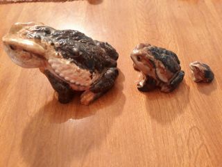 Vintage Ceramic Toad Frog Lifelike Realistic - Set Of 3 - Made In Japan Detailed