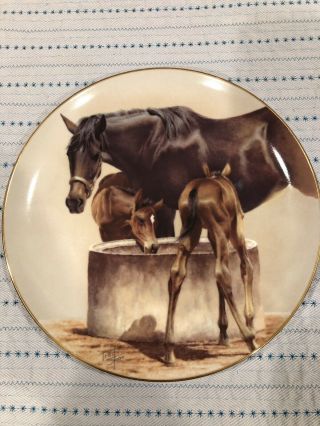 The Water Trough By Fred Stone Horse Collector Plate American Artists