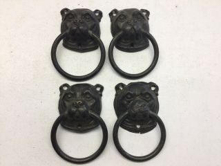 Antique Set Of 4 Bulldog Brass Drawer Ring Pulls