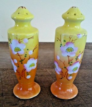 Vintage Trico Salt & Pepper Shakers Hand Painted Apple Blossoms Ceramic Japan