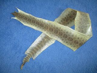 Rattlesnake Skin Prairie Rattle Snake Hide Soft Tanned Wrap Pen Blanks 39 In.  E4
