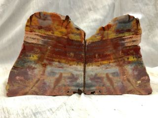 Vintage Petrified Wood Bookends,  Double Felted
