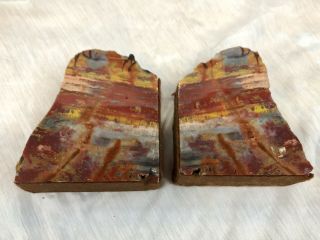 Vintage Petrified Wood Bookends,  Double Felted 2