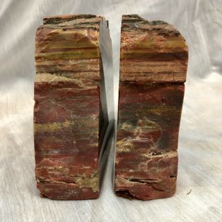 Vintage Petrified Wood Bookends,  Double Felted 3