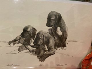 Irish Wolfhound Puppies Sweet Babes Ltd Ed 12x18