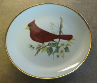 Vintage Collector Plate Avon 1974 Cardinal North American Song Bird