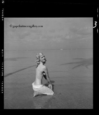Vintage 1960s Bunny Yeager Camera Negative Bathing Beauty Lee Bartley 2