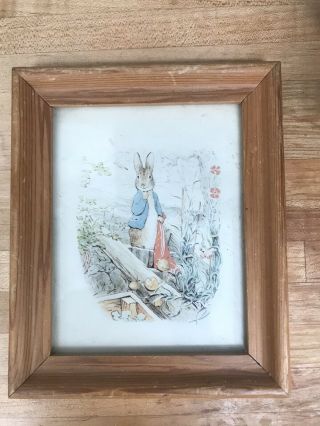 Vintage Framed Petter Rabbit Picture W Glass