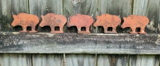Vintage 5 Wild Pig Cast Iron/steel Shooting Gallery Targets For Carnival