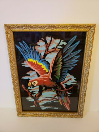 Vintage Style Tropical Parrot Macaw Bird Paint By Number Framed
