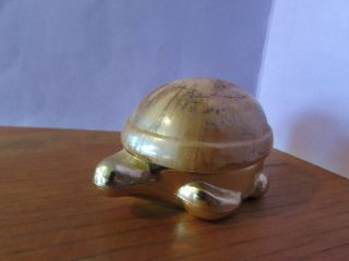 Vintage Avon Turtle Tortoise Patchwork Cream Sachet - Empty