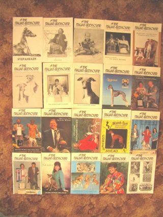 20 Vintage Italian Greyhound Dog Magazines (c) Ig Issues From 92,  96,  97 & 98