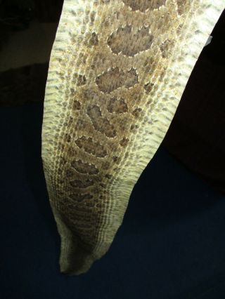 Rattlesnake Skin Prairie Rattle Snake Hide Dry Tanned Wrap Pen Blanks 38 In R4