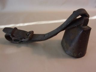 Vintage Brass Cow Bell,  Still Has Short Leather Belt With Buckle Attached