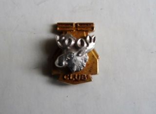 Loyal Order Of Moose 25 Club Pin Lgb10k Diamond