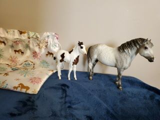 Breyer Wish And Wonder 2018 Web Special With Bag Misty And Stormy Mold