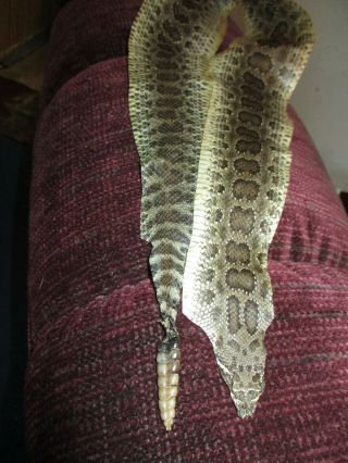 Rattlesnake Skin Prairie Rattle Snake Hide Soft Tanned Wrap Pen Blanks 36 In L2