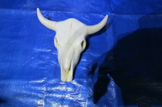 Ceramic Steer/bull Head Skull Wall Hanging Horns