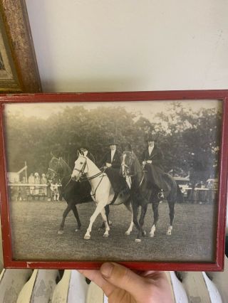 Antique Horse Equestrian Photo Framed By Karl Klein
