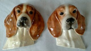 Pair Morten’s Studio Dog Head Study Beagle 