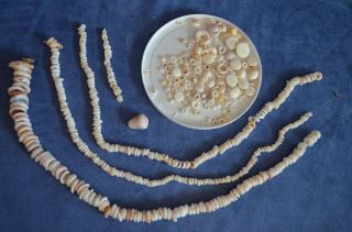 Vintage Puka Shells Loose 173 Grams From Hawaii For Necklace Choker Crafts