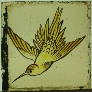 Fragment Of A Victorian Stained Glass Window Hand Painted Kiln Fired Bird Motif