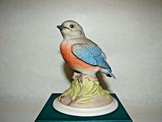 Boehm American Porcelain " Baby Blue Bird " Figurine 442
